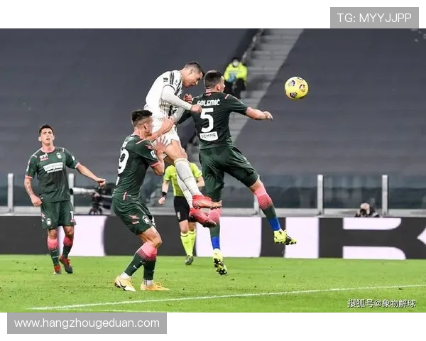 维罗纳俱乐部历史悠久 打造坚实阵容重返意甲巅峰之路