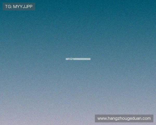 探寻NBA掘金队的辉煌历程及未来发展