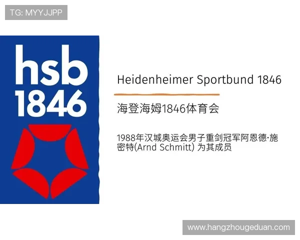 海登海姆足球俱乐部发展历程与成就探索解析